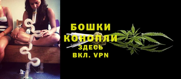 ПСИЛОЦИБИНОВЫЕ ГРИБЫ Заволжск