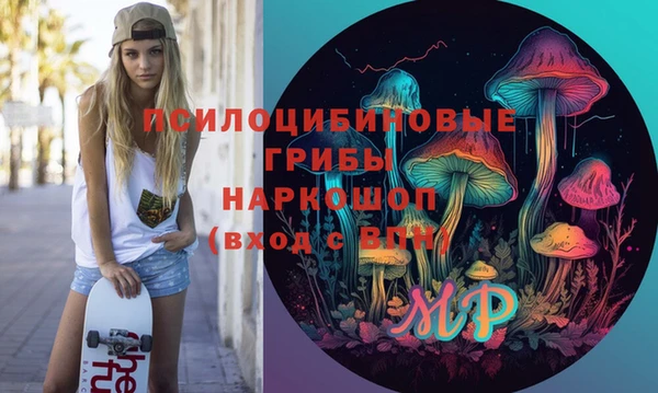 хмурый Заводоуковск