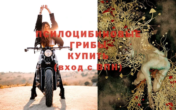 хмурый Заводоуковск